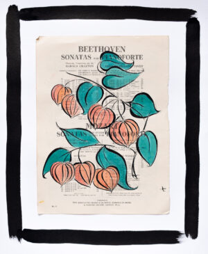 Beethoven Physalis - Original Signed Ink Painting